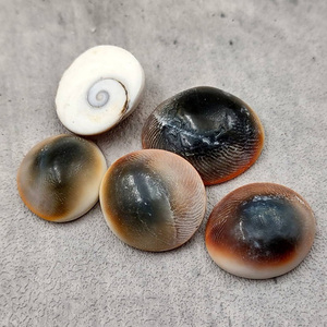 Pendentif en opercule de coquille d'œil de Shiva naturel brut, vente en gros de coquillages gemmes, coquillages marins, coquilles d'œil - Product Image 3