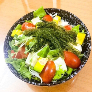 Uvas de Mar Deshidratadas Frescas de Calidad de Exportación | Duración de vida útil de 12 meses |   Soporte de Marca Privada OEM - Product Image 4