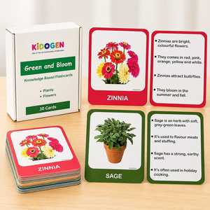 Tarjetas de Memoria de Plástico Personalizadas con Plantas y Flores, Juego Educativo de 30 Piezas, Laminadas por Ambos Lados, 300 GSM, para Niños - Product Image 3