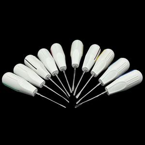 Kit de 10 Elevadores Dentales de Acero Inoxidable, Extractor de Dientes Curvo/Recto, Herramientas de Cirugía Oral, Instrumentos para Dentistas - Product Image 4