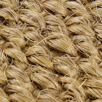 Tapis antidérapant imperméable et tressé en mélange de sisal doux pour le salon des animaux domestiques et des enfants