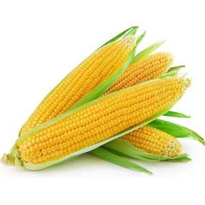 ข้าวโพดหวานสีเหลืองขายส่ง ไม่ใช่พืช GMO ข้าวโพดกระป๋องสีเหลือง 185 กรัม - Product Image 6