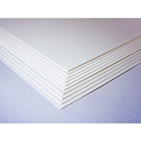 Feuilles de papier d'encre à l'alcool de format A4 300g/m2 pour peinture à l'encre à l'alcool