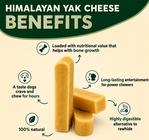 Masticables de Yak del Himalaya para Perros de Todas las Razas, Sabores Naturales, Golosinas Premium para Perros, Fabricante Mayorista OEM ODM de Marca Privada ADINS - Product Image 5