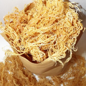 Mousse de mer séchée biologique de qualité supérieure en or pour les smoothies et les bienfaits pour la santé emballage en vrac - Product Image 3