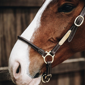 High-Quality Horse <b>Halter</b> with Comfortable Fit and Adjustable Straps - Product Image 4