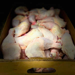 Muslos de Pollo Congelados Halal al por Mayor, Sin Hueso, Sin Piel, Sin Grasas Trans, Corte Directo de Fábrica, Precio Competitivo a Nivel Mundial - Product Image 2