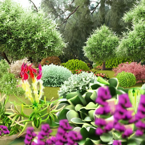 Aceite esencial de Langali al por mayor disponible a los mejores precios competitivos en tamaño de paquete de 25kg y 180 kg - Product Image 3