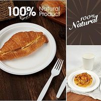 Exportkwaliteit 155mm Biologisch afbreekbare moderne wegwerpvork voor toepassingen zoals sandwiches, fruit, snacks, maaltijden, dagelijks gebruik, restaurants.