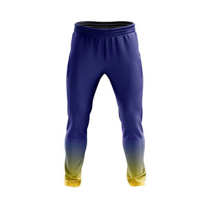 Ensemble d'uniformes de cricket personnalisés imprimés par sublimation pour adultes et enfants, maillot à manches courtes respirant à séchage rapide et pantalon, kit d'équipe, vente en gros OEM - Product Image 3