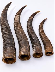 Arco de Caza Tradicional de Cuerno de Búfalo Indio, Calidad de Exportación, Natural, Crudo, Resistente al Agua, Duradero, Compuesto - Product Image 4