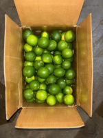 Citrons sans pépins du Vietnam cueillis frais des vergers locaux, juteux et savoureux, emballés pour la vente au détail en gros et l'exportation