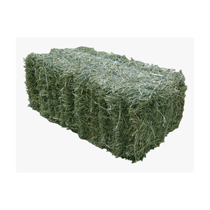 หญ้าโรดส์แห้งคุณภาพดี มีจำหน่ายในราคาขายส่ง สำหรับใช้เป็นอาหารสัตว์ - Product Image 1