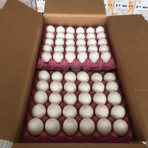 Huevos Frescos de Gallina Blanca, Huevos de Mesa, Paquete de Cartón de 30 Unidades - Product Image 4