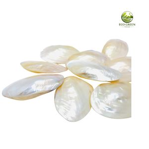 Platos Ovalados de Concha de Nácar Natural Pulida al por Mayor para Incrustaciones, Artesanía, Joyería y Almacenamiento - Product Image 6