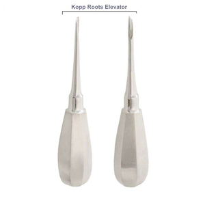 เครื่องมือถอนรากฟันแบบใช้ซ้ำได้ Bone Bridge Instruments BBI-063 (ด้านขวา) สีเงิน สแตนเลสสตีล ด้ามจับตามหลักสรีรศาสตร์ ได้รับการรับรองมาตรฐาน CE - Product Image 1