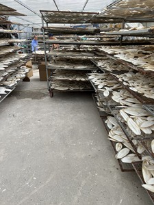 Os de seiche séché naturellement pour cage à oiseaux et usage domestique - Product Image 5