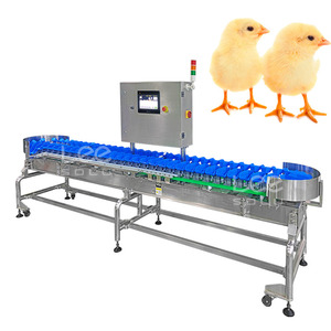 Tự động Oyster chấm điểm máy Chick trọng lượng và sắp xếp máy gia cầm trọng lượng phân loại máy - Product Image 1