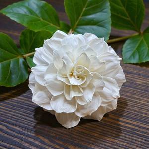 Fleur artificielle en bois Sola style rose de jardin blanche, 15 cm, grande taille, tige en fibre de plantes Sesbania - Product Image 1