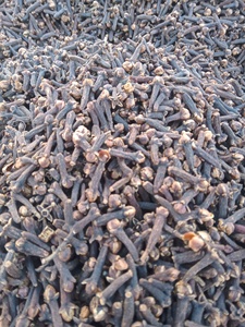 กานพลูดิบออร์แกนิก กลิ่นหอม สำหรับปรุงรสและถนอมอาหาร - Product Image 6