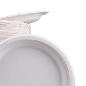 Platos Desechables al por Mayor, Ligeros, Hechos en Pakistán, OEM, ODM, Vajilla con Logotipo Personalizado, Platos Desechables - Product Image 4