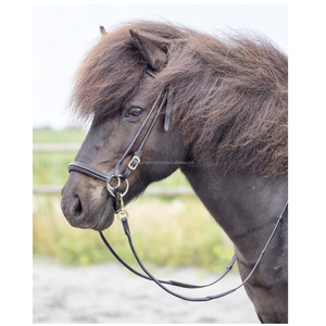 ชุดเดรสหนังอัจฉริยะสุดคุณภาพเยี่ยมสำหรับม้าหนังเทียมระยิบระยับสายรัดคิ้วแบบร็อคคริสตัลสวมใส่สบาย - Product Image 5