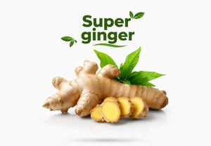 Premium Super <b>Ginger</b> <b>Fresh</b> Root Export Quality Natural Spice for Food Beverage and Wholesale Supply - Product Image 2