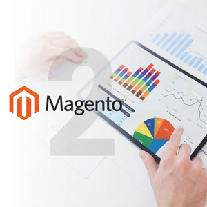 Domine la Tienda Personalizada de Magento: Soluciones Avanzadas de Comercio Electrónico que Permiten Operaciones Fluidas y Máximo Impacto en la Tienda Virtual - Product Image 1