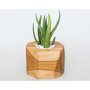 Pot de fleurs géométrique en bois massif fait main, moderne, pour intérieur, bureau, cactus, fleurs, décoration naturelle en bois pour la maison et le bureau - Product Image 4