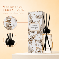 Diffuseur de parfum d'ambiance en gros pour distributeurs et importateurs – Huile essentielle naturelle pour la maison – Idéal pour les magasins de détail – Échantillon gratuit