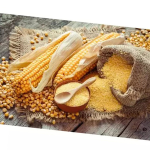 Harina de maíz amarilla 60% mín. para animales, alimento animal de buena calidad - Product Image 2