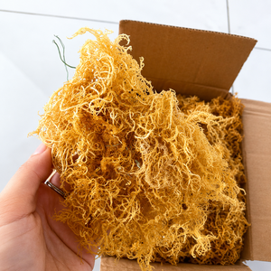 Wholesale <b>Dried</b> Eucheuma Cottonii Seaweed/ Sea <b>Moss</b> From Vietnam / Ms. Alina - Product Image 5