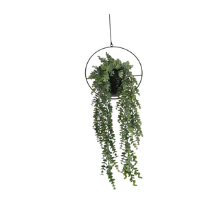 Plantas en maceta al por mayor con marco colgante redondo de metal, maceta de metal de diseño moderno, decoración de interiores, macetas en oferta - Product Image 1