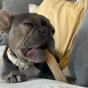 Café Natural madera masticar perro Limpieza de dientes mascota masticar juguete duradero mejor juguete para jugar contacto Sara + 84 797 415 298 - Product Image 2