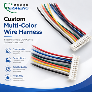 Harness Kabel Silikon Elektronik Kustom OEM Bersertifikasi Weisheng IATF16949 dengan Konektor JST ZH PH XH 1.0-2.54mm - Product Image 1