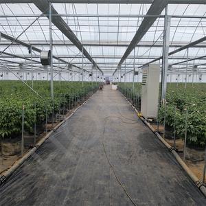 Bolsas <span class=keywords><strong>de</strong></span> cultivo transpirables <span class=keywords><strong>de</strong></span> plástico negro HOKBG, bolsas <span class=keywords><strong>de</strong></span> maceta <span class=keywords><strong>de</strong></span> 125 <span class=keywords><strong>litros</strong></span> para plantar flores <span class=keywords><strong>de</strong></span> peonía - Product Image 6