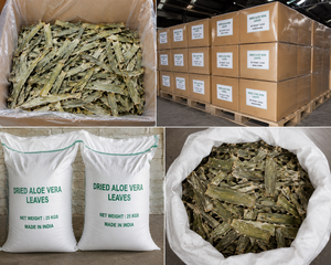 Polvo de Hoja de Aloe Vera Orgánico de Alta Calidad, Hidratante, Eliminador de Puntos Negros y Ojeras, Cuidado de la Piel y el Cabello, Certificado ISO Terra - Product Image 6
