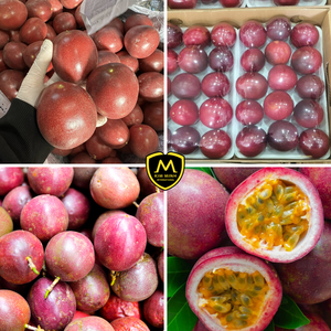 Maracuyá Fresco de Vietnam _ Socio de Exportación Confiable para Importadores - Product Image 4