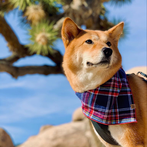 Pañuelos Triangulares para Perros con Diseño de Corazón, Bufanda Ajustable para San Valentín, para Perros y Gatos - Product Image 1