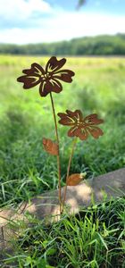 Simple Style Metal Plant Stake Outdoor Garden Decor Galvanized Steel Rustic Flower Art - Product Image 5
