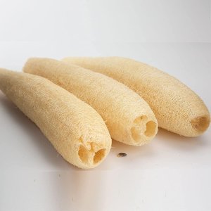 Plantes de loofah blanches pleine grandeur, excellentes pour les commandes en gros, fibres naturelles de loofah séchées pour le lavage et le récurage en cuisine - Product Image 2