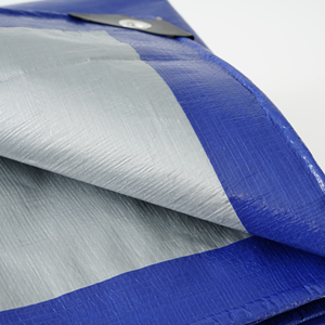 Film de bâche agricole en PE bleu/argent, haute durabilité, grande capacité, usage intensif, couleurs et dimensions personnalisées - Product Image 1