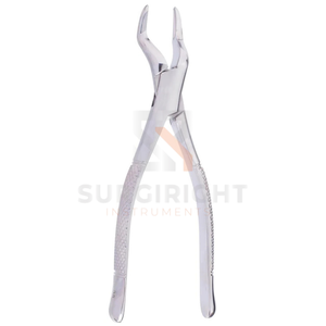 Forceps d'extraction dentaire universels en acier inoxydable, instrument de retrait de dents certifié CE ISO par Blush Surgical - Product Image 4