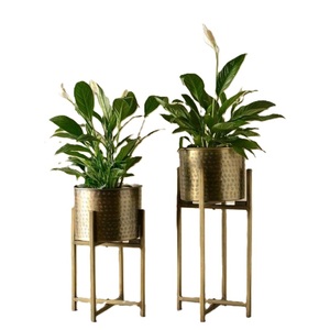 Macetero Moderno de Metal Bronce con Soporte, Maceta Cilíndrica Contemporánea, Estética Interior, Textura Metálica Dorada, Decoración del Hogar - Product Image 3