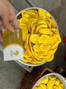 Tranches de mangue séchées 100% mangue fraîche, faible teneur en sucre, goût sucré, collations saines et végétaliennes, en vrac/en cadeau/emballées sous vide - Product Image 3