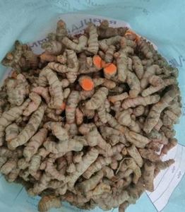 Curcuma pur de Lakadong pour la cuisine, extrait de curcuma de Lakadong haute puissance provenant d'un fournisseur indien au meilleur prix - Product Image 4