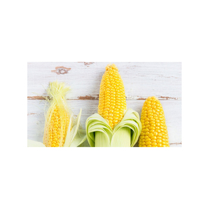 Maíz Amarillo de Alta Demanda para Alimentación Animal, Suministro Confiable para Empresas Agrícolas - Product Image 5