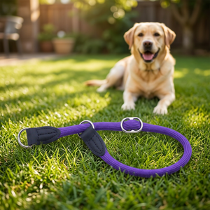 Collar de Perro de Alta Calidad en Color Sólido, de Cuero PU y Nailon, Hecho en TW para Entrenamiento de Mascotas, sin Decoración - Product Image 3