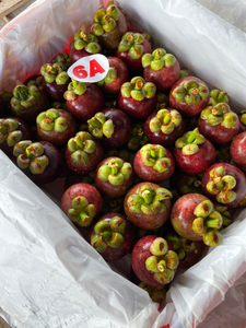 Mangosteen fresco | 100% Fruta orgánica al por mayor de Vietnam | El mejor precio y alta calidad - Product Image 3