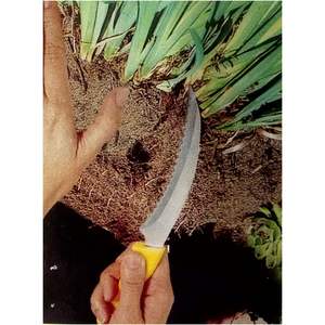 Navaja Plegable de Jardín de Acero Inoxidable de 10 Pulgadas con Mango de Plástico y Grosor de 1.5 mm - Product Image 5